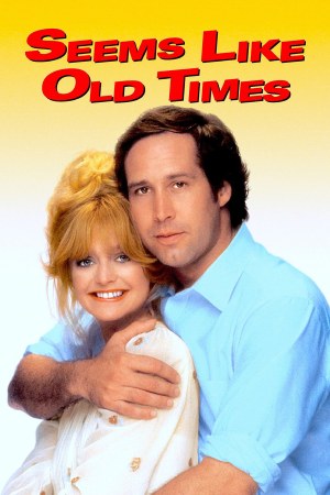 Seems Like Old Times 1980 WebRip [Hindi + Tamil + Telugu + English] 480p 720p ESub