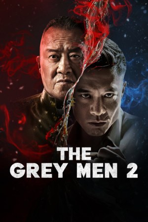 The Grey Men 2 2025 WebRip [Hindi + Tamil + Telugu + Chinese] 480p 720p ESub
