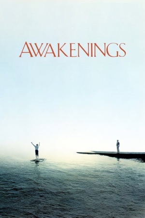 Awakenings 1990 BluRay [Hindi + English] 480p, 720p ESub