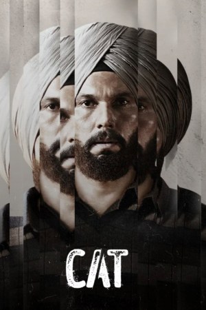 CAT 2022 WebRip Season 1 [Hindi + Punjabi] 480p 720p ESub