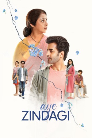 Aye Zindagi 2022 WebRip [Hindi] 480p, 720p ESub