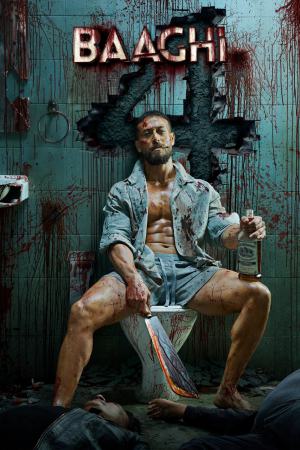 Baaghi 4 2025 WebRip [Hindi] 480p 720p ESub