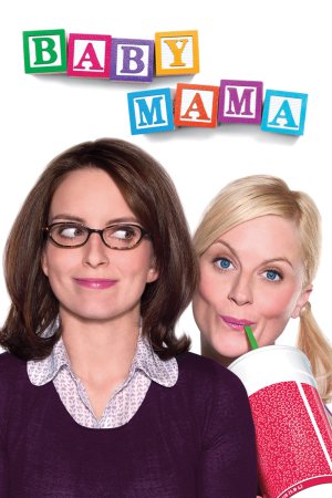 Baby Mama 2008 BluRay [Hindi + English] 480p, 720p ESub