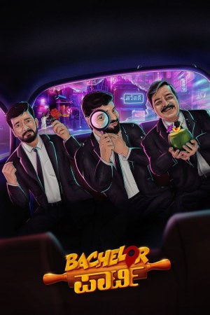 Bachelor Party 2024 WebRip [Kannada] 480p, 720p ESub
