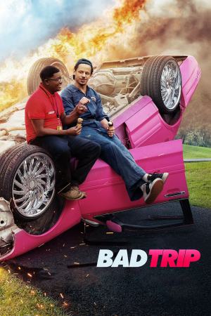 Bad Trip 2021 WebRip [Hindi + English] 480p, 720p ESub
