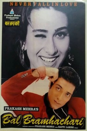 Bal Bramhachari 1996 WebRip [Hindi] 480p, 720p ESub