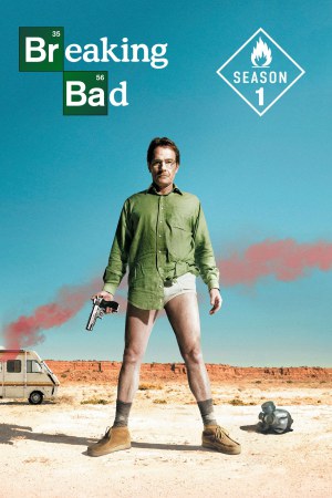 Breaking Bad (2008) Season 1 [Hindi + English] BluRay 480p 720p ESub - Complete