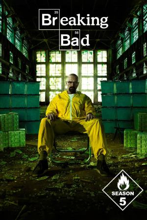 Breaking Bad (2012) Season 5 [Hindi + English] BluRay 480p 720p ESub - Complete