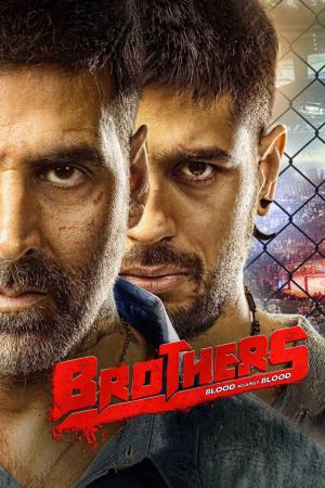 Brothers 2024 WebRip [Hindi + English] 480p, 720p ESub