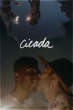 Cicada 2021 WebRip [Hindi + Tamil] 480p, 720p