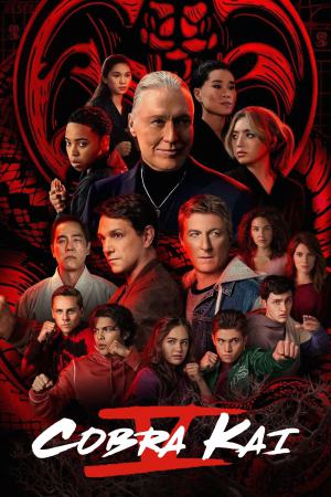 Cobra Kai (2022) Season 5 [Hindi + English] WebRip 480p 720p ESub - Complete