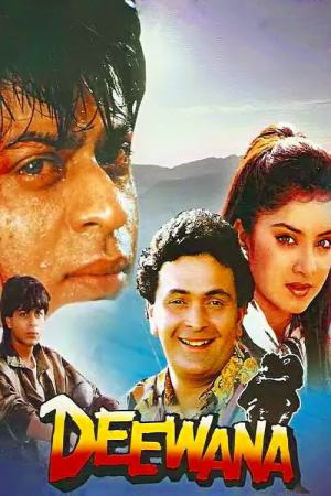Deewana 1992 WebRip [Hindi] 480p, 720p ESub