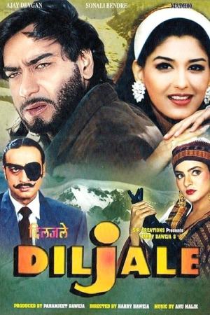 Diljale 1996 WebRip [Hindi] 480p, 720p ESub
