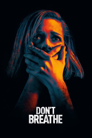 Don't Breathe 2016 BluRay [Hindi + English] 480p, 720p ESub