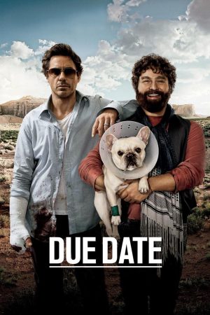 Due Date 2010 BluRay [Hindi + Tamil + English] 480p, 720p