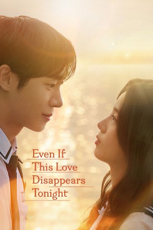 Even If This Love Disappears Tonight 2025 WebRip [Hindi + Tamil + Telugu + English] 480p 720p ESub Poster