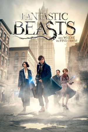 Fantastic Beasts and Where to Find Them 2016 BluRay [Hindi + Tamil + Telugu + English] 480p, 720p, 1080p ESub