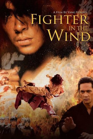 Fighter in the Wind 2004 BluRay [Hindi + Tamil + Korean] 480p, 720p