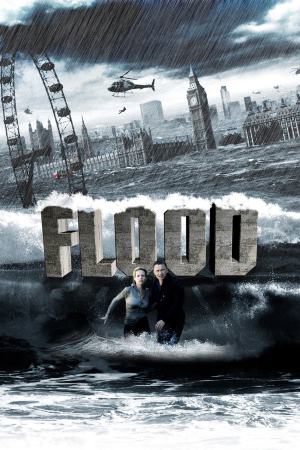 Flood 2007 BluRay [Hindi + Tamil + English] 480p 720p ESub