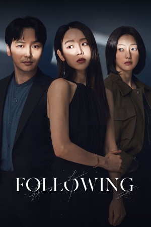 Following 2024 WebRip [Hindi + Korean] 480p 720p ESub