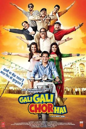 Gali Gali Chor Hai 2012 WebRip [Hindi] 480p, 720p ESub