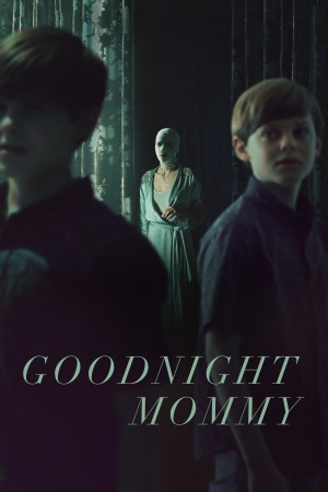 Goodnight Mommy 2022 WebDl [Hindi + English] 480p, 720p ESub