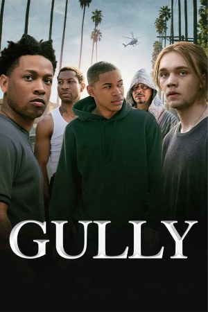 Gully 2021 WebDl [Hindi + English] 480p, 720p ESub