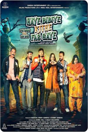 Haye Bibiye Kithe Fas Gaye 2024 WebRip [Punjabi] 480p, 720p ESub