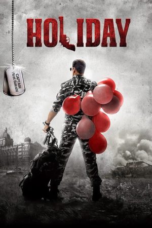 Holiday 2014 BluRay [Hindi] 480p, 720p ESub