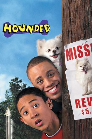 Hounded 2001 HDTv [Hindi + English] 480p, 720p