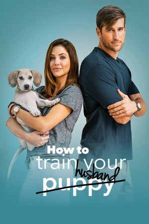 How to Train Your Husband 2018 WebDl [Hindi + English] 480p, 720p