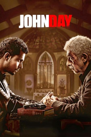 John Day 2013 WebRip [Hindi] 480p, 720p ESub