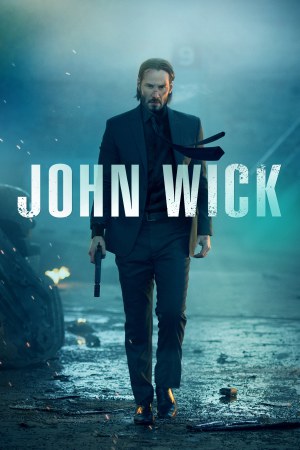 John Wick 2014 BluRay [Hindi + Tamil + Telugu + English] 480p, 720p, 1080p ESub