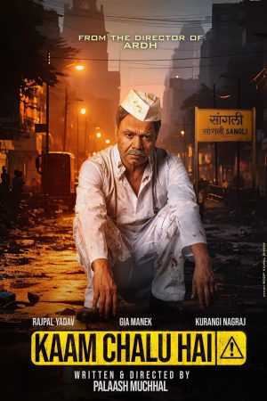 Kaam Chalu Hai 2024 WebRip [Hindi] 480p, 720p ESub