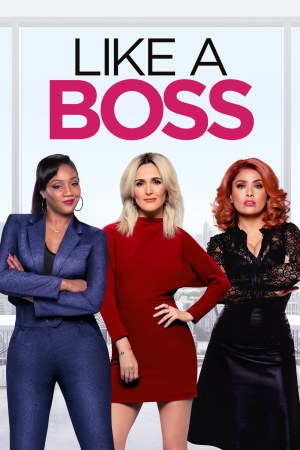 Like a Boss 2020 BluRay [Hindi + English] 480p, 720p ESub