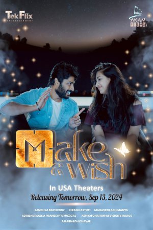 Make a Wish 2024 WebRip [Telugu] 480p, 720p