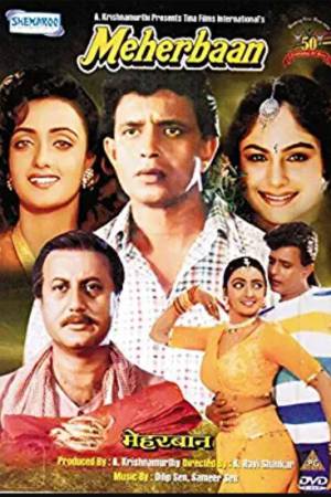 Meherbaan 1993 WebRip [Hindi] 480p, 720p