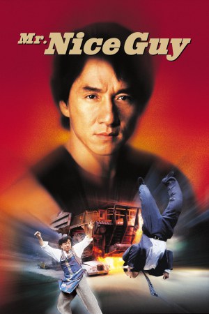 Mr. Nice Guy 1997 BluRay [Tamil + English] 480p, 720p