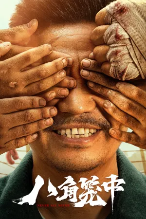 Never Say Never 2023 WebRip [Hindi + Chinese] 480p 720p ESub
