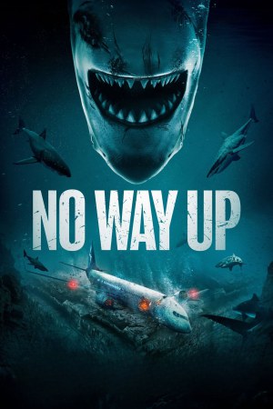 No Way Up 2024 WebRip [Hindi + Tamil + Telugu + English] 480p, 720p, 1080p ESub