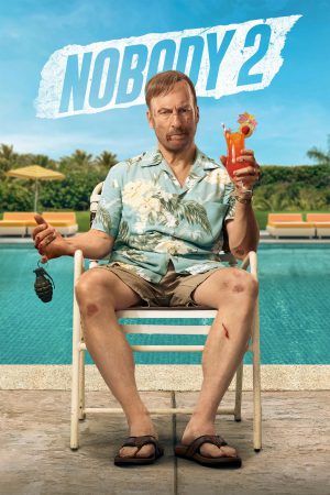 Nobody 2 2025 WebRip [Hindi + English] 480p 720p ESub