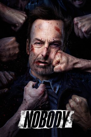 Nobody 2021 BluRay [Hindi + English] 480p 720p ESub