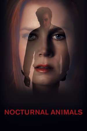 Nocturnal Animals 2016 BluRay [Hindi + English] 480p, 720p ESub