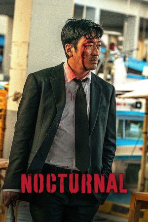 Nocturnal 2025 WebRip [Hindi + Korean] 480p 720p ESub