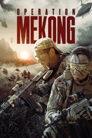 Operation Mekong 2016 BluRay [Hindi + Chinese] 480p, 720p ESub
