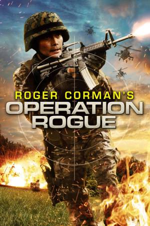 Operation Rogue 2014 WebRip [Hindi + Tamil + English] 480p 720p ESub Poster