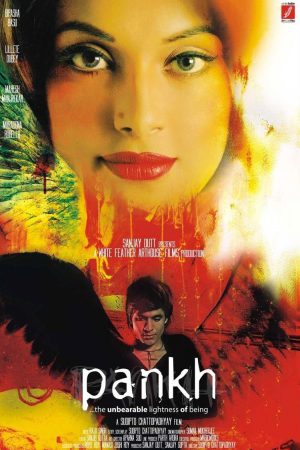 Pankh 2010 WebRip [Hindi] 480p, 720p ESub