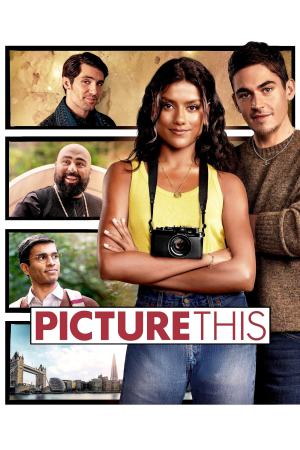 Picture This 2025 WebRip [Hindi + English] 480p, 720p ESub