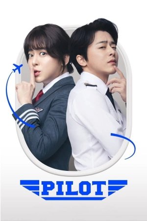 Pilot 2024 WebRip [Hindi + Korean] 480p 720p ESub