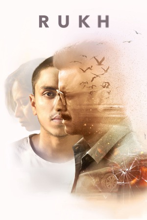 Rukh 2017 WebRip [Hindi] 480p, 720p ESub